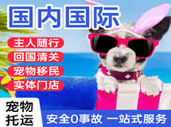 黑河瑷珲空运代理国际宠物托运 【国